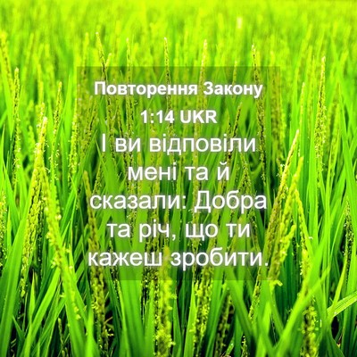 Picture 04 - Повторення Закону 1:14 UKR - І ви відповіли мені та й - Bible Verse Picture