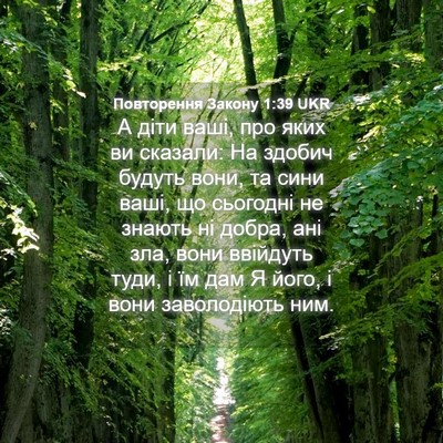 Picture 04 - Повторення Закону 1:39 UKR - А діти ваші, про яких ви - Bible Verse Picture