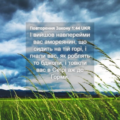 Picture 04 - Повторення Закону 1:44 UKR - І вийшов навперейми вас - Bible Verse Picture