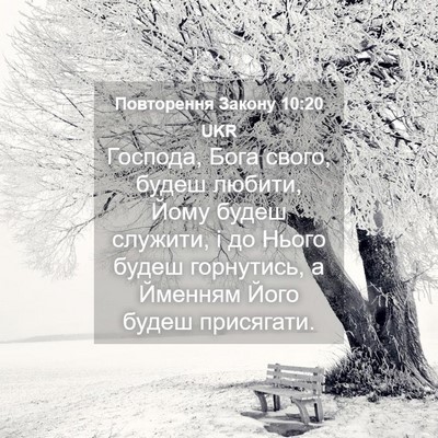 Picture 04 - Повторення Закону 10:20 UKR - Господа, Бога свого, будеш - Bible Verse Picture
