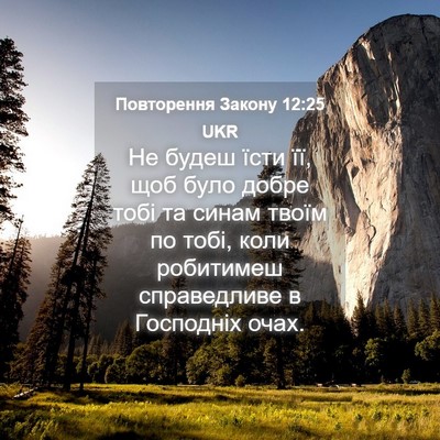 Picture 04 - Повторення Закону 12:25 UKR - Не будеш їсти її, щоб було - Bible Verse Picture