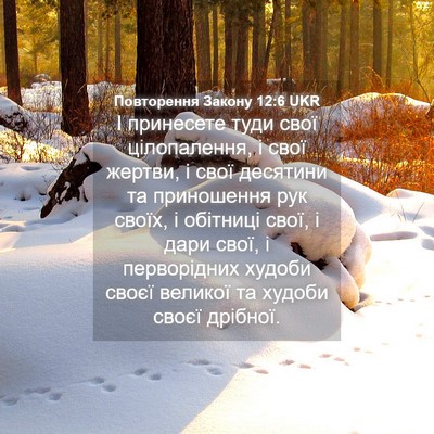 Picture 04 - Повторення Закону 12:6 UKR - І принесете туди свої - Bible Verse Picture