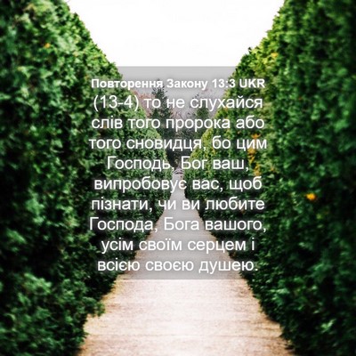 Picture 04 - Повторення Закону 13:3 UKR - (13-4) то не слухайся слів - Bible Verse Picture