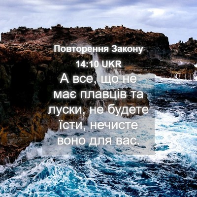 Picture 04 - Повторення Закону 14:10 UKR - А все, що не має плавців та - Bible Verse Picture