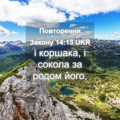 Picture 04 - Повторення Закону 14:13 UKR - і коршака, і сокола за - Bible Verse Picture