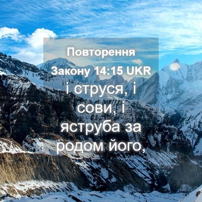 Picture 04 - Повторення Закону 14:15 UKR - і струся, і сови, і яструба - Bible Verse Picture