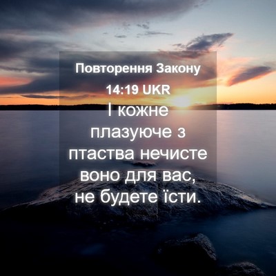 Picture 04 - Повторення Закону 14:19 UKR - І кожне плазуюче з птаства - Bible Verse Picture