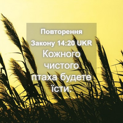 Picture 04 - Повторення Закону 14:20 UKR - Кожного чистого птаха - Bible Verse Picture
