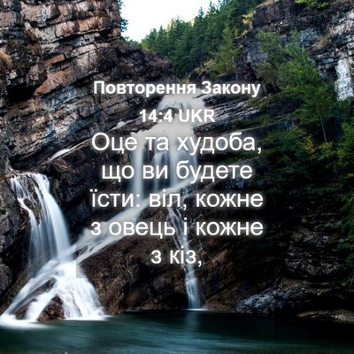 Picture 04 - Повторення Закону 14:4 UKR - Оце та худоба, що ви будете - Bible Verse Picture