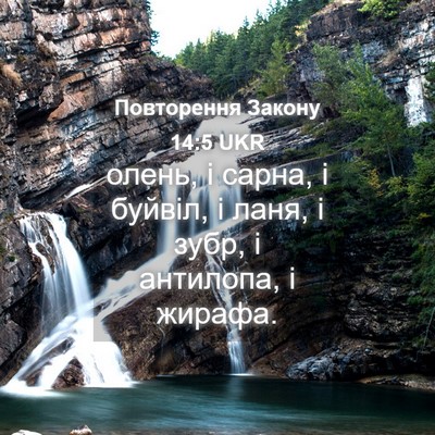 Picture 04 - Повторення Закону 14:5 UKR - олень, і сарна, і буйвіл, і - Bible Verse Picture