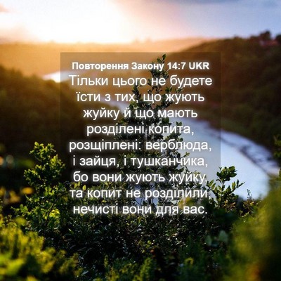 Picture 04 - Повторення Закону 14:7 UKR - Тільки цього не будете - Bible Verse Picture