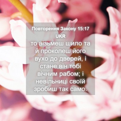 Picture 04 - Повторення Закону 15:17 UKR - то візьмеш шило та й - Bible Verse Picture