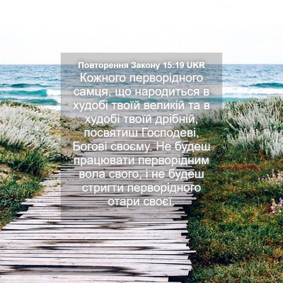 Picture 04 - Повторення Закону 15:19 UKR - Кожного перворідного - Bible Verse Picture