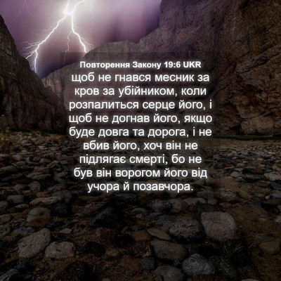 Picture 04 - Повторення Закону 19:6 UKR - щоб не гнався месник за - Bible Verse Picture