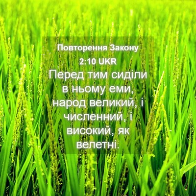 Picture 04 - Повторення Закону 2:10 UKR - Перед тим сиділи в ньому - Bible Verse Picture