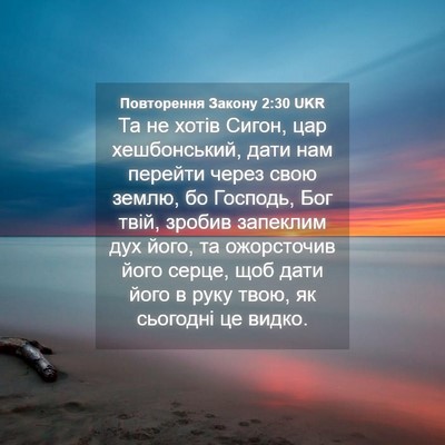Picture 04 - Повторення Закону 2:30 UKR - Та не хотів Сигон, цар - Bible Verse Picture