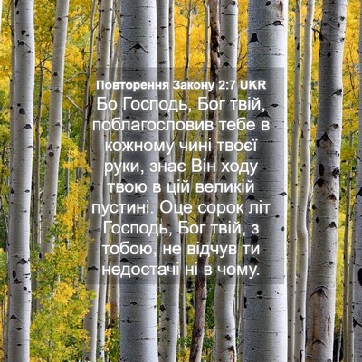Picture 04 - Повторення Закону 2:7 UKR - Бо Господь, Бог твій, - Bible Verse Picture
