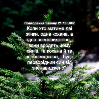 Picture 04 - Повторення Закону 21:15 UKR - Коли хто матиме дві жінки, - Bible Verse Picture