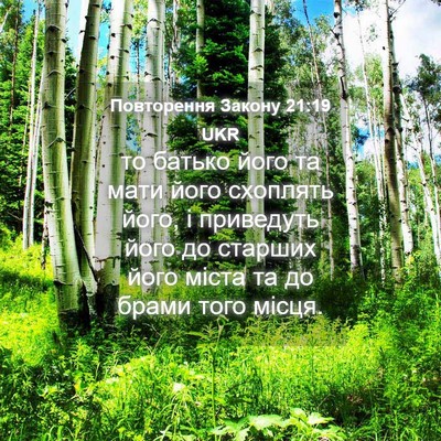 Picture 04 - Повторення Закону 21:19 UKR - то батько його та мати його - Bible Verse Picture