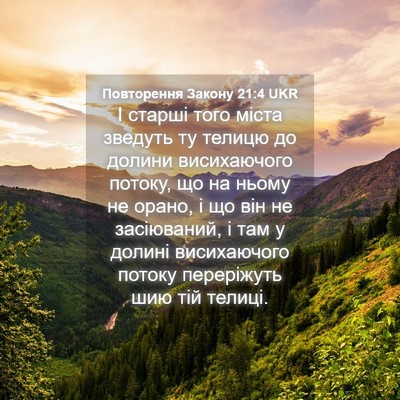 Picture 04 - Повторення Закону 21:4 UKR - І старші того міста - Bible Verse Picture