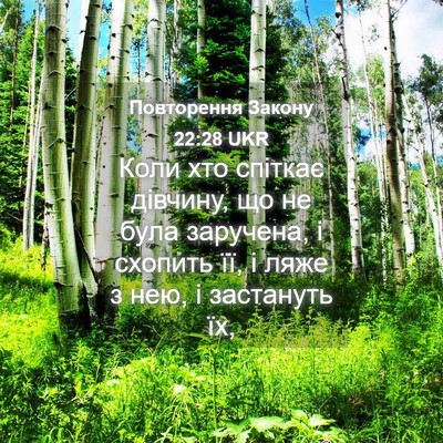 Picture 04 - Повторення Закону 22:28 UKR - Коли хто спіткає дівчину, - Bible Verse Picture