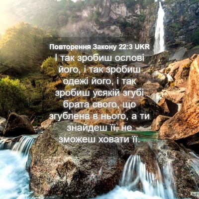 Picture 04 - Повторення Закону 22:3 UKR - І так зробиш ослові його, і - Bible Verse Picture