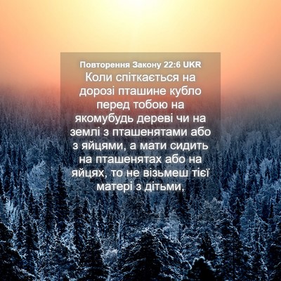 Picture 04 - Повторення Закону 22:6 UKR - Коли спіткається на дорозі - Bible Verse Picture