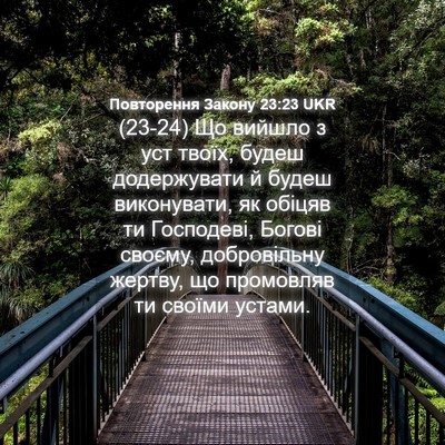 Picture 04 - Повторення Закону 23:23 UKR - (23-24) Що вийшло з уст твоїх, - Bible Verse Picture