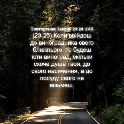 Picture 04 - Повторення Закону 23:24 UKR - (23-25) Коли ввійдеш до - Bible Verse Picture