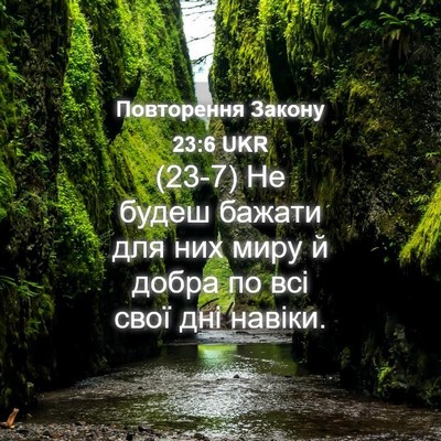 Picture 04 - Повторення Закону 23:6 UKR - (23-7) Не будеш бажати для них - Bible Verse Picture