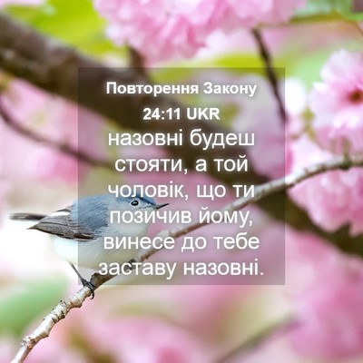 Picture 04 - Повторення Закону 24:11 UKR - назовні будеш стояти, а той - Bible Verse Picture