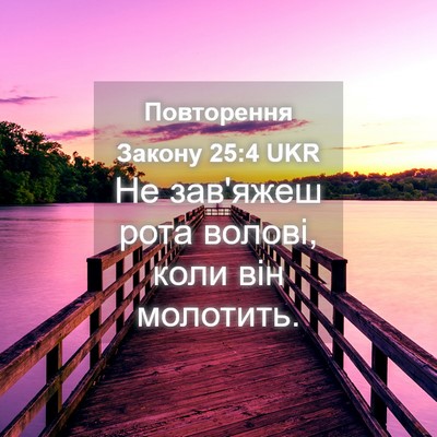 Picture 04 - Повторення Закону 25:4 UKR - Не зав'яжеш рота волові, - Bible Verse Picture
