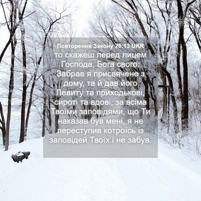 Picture 04 - Повторення Закону 26:13 UKR - то скажеш перед лицем - Bible Verse Picture