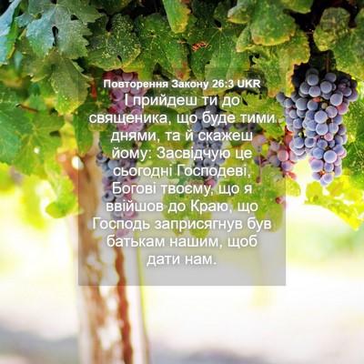 Picture 04 - Повторення Закону 26:3 UKR - І прийдеш ти до священика, - Bible Verse Picture