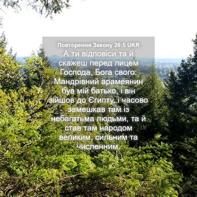 Picture 04 - Повторення Закону 26:5 UKR - А ти відповіси та й скажеш - Bible Verse Picture