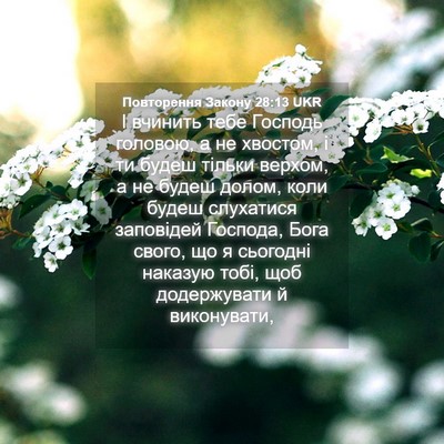 Picture 04 - Повторення Закону 28:13 UKR - І вчинить тебе Господь - Bible Verse Picture