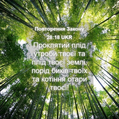Picture 04 - Повторення Закону 28:18 UKR - Проклятий плід утроби - Bible Verse Picture