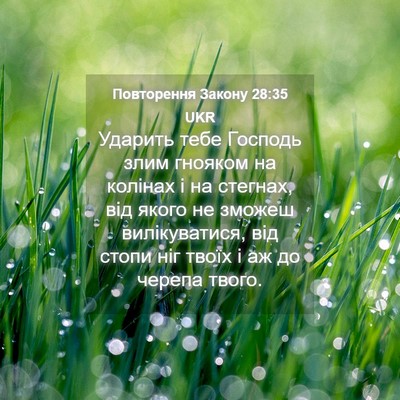 Picture 04 - Повторення Закону 28:35 UKR - Ударить тебе Господь злим - Bible Verse Picture