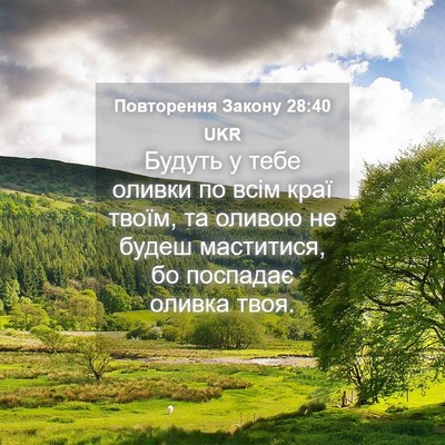 Picture 04 - Повторення Закону 28:40 UKR - Будуть у тебе оливки по - Bible Verse Picture
