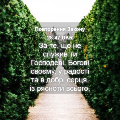 Picture 04 - Повторення Закону 28:47 UKR - За те, що не служив ти - Bible Verse Picture