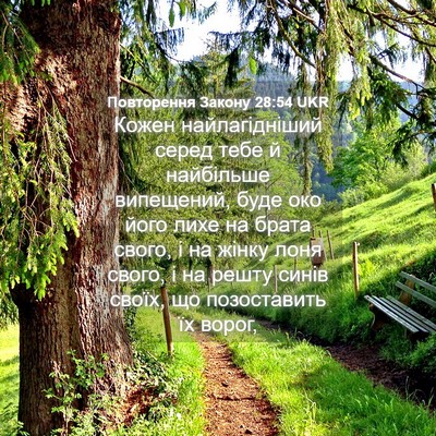 Picture 04 - Повторення Закону 28:54 UKR - Кожен найлагідніший серед - Bible Verse Picture