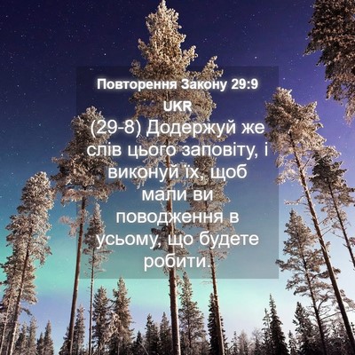 Picture 04 - Повторення Закону 29:9 UKR - (29-8) Додержуй же слів цього - Bible Verse Picture