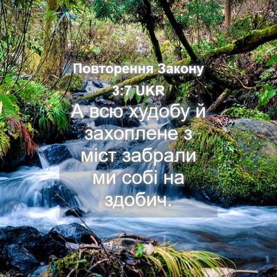 Picture 04 - Повторення Закону 3:7 UKR - А всю худобу й захоплене з - Bible Verse Picture