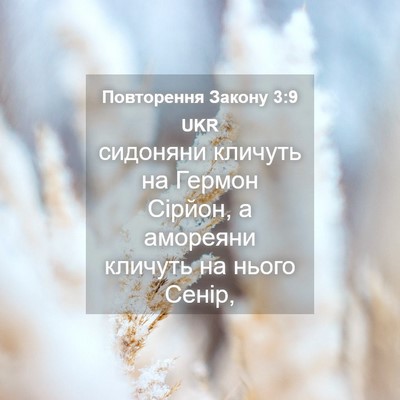 Picture 04 - Повторення Закону 3:9 UKR - сидоняни кличуть на Гермон - Bible Verse Picture