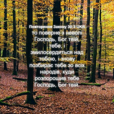 Picture 04 - Повторення Закону 30:3 UKR - то поверне з неволі - Bible Verse Picture