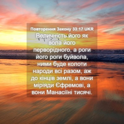 Picture 04 - Повторення Закону 33:17 UKR - Величність його як вола - Bible Verse Picture