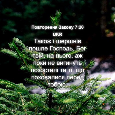 Picture 04 - Повторення Закону 7:20 UKR - Також і шершнів пошле - Bible Verse Picture