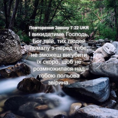 Picture 04 - Повторення Закону 7:22 UKR - І викидатиме Господь, Бог - Bible Verse Picture