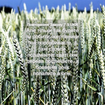 Picture 04 - Повторення Закону 7:5 UKR - Але тільки так будете їм - Bible Verse Picture
