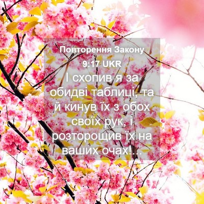 Picture 04 - Повторення Закону 9:17 UKR - І схопив я за обидві - Bible Verse Picture
